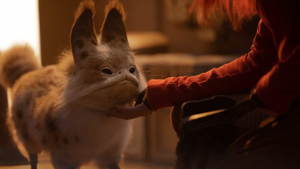 loth cat star wars 1024x576