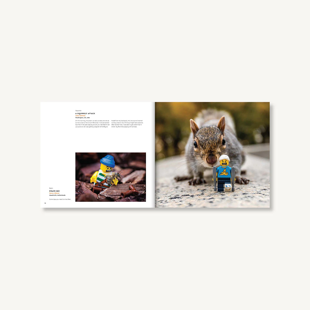 LEGO in Focus Page 3