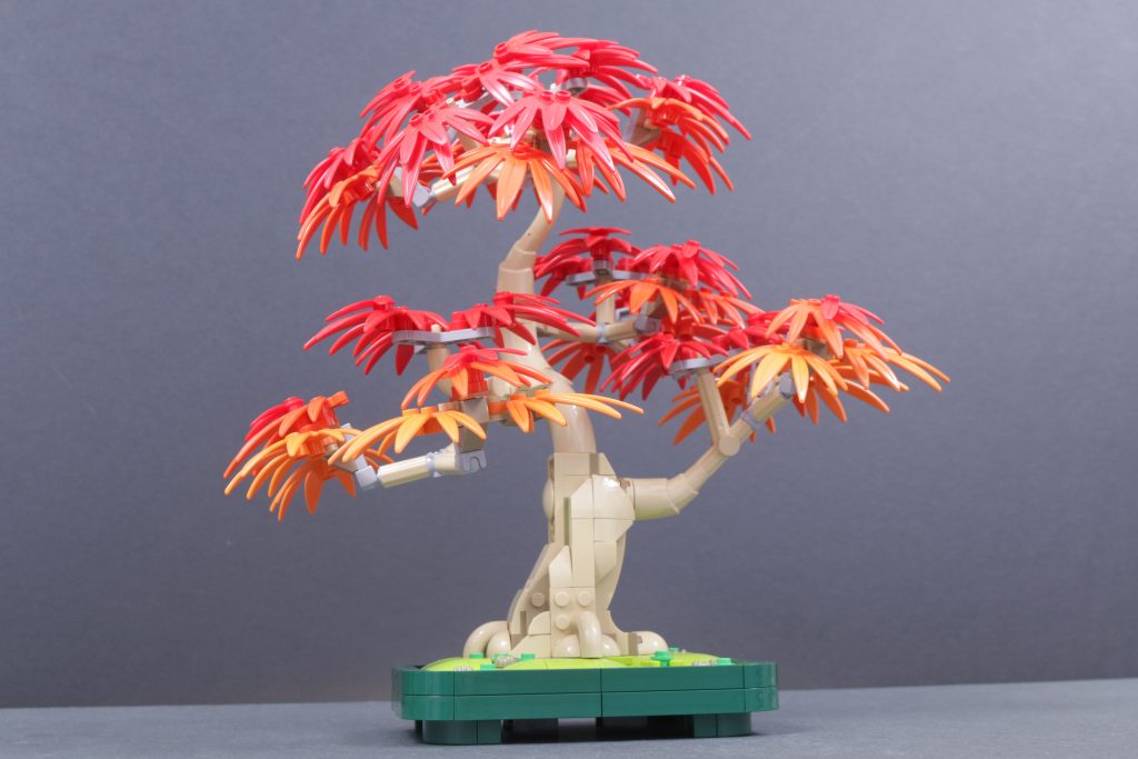 LEGO Botanicals 10348 Japanese Maple Tree review 2 1024x683