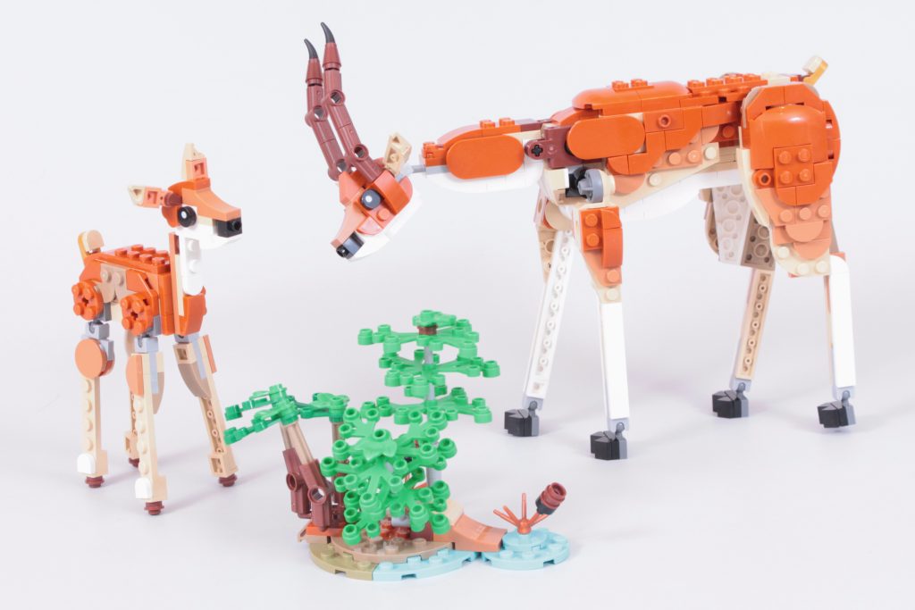 LEGO Creator 3 in 1 31150 Wild Safari Animals review 15 1024x683