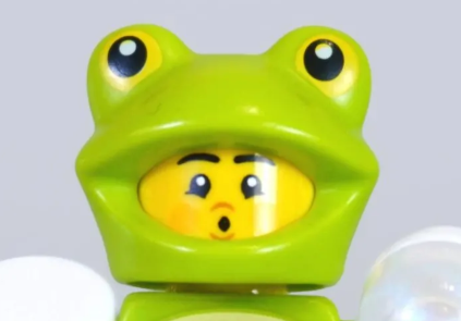 71051 frog