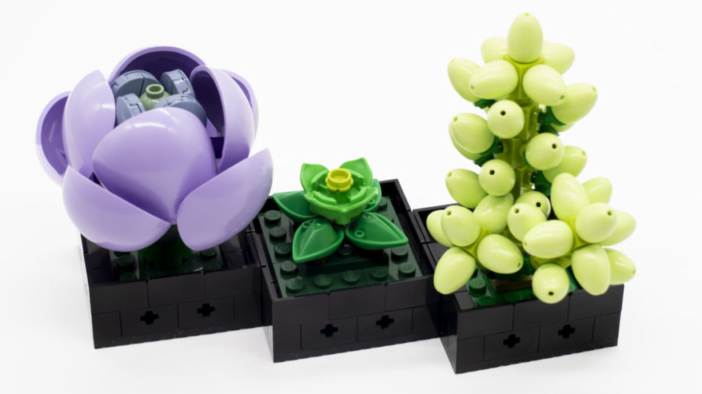 LEGO The Botanical Collection 10309 Succulents 30 1024x576