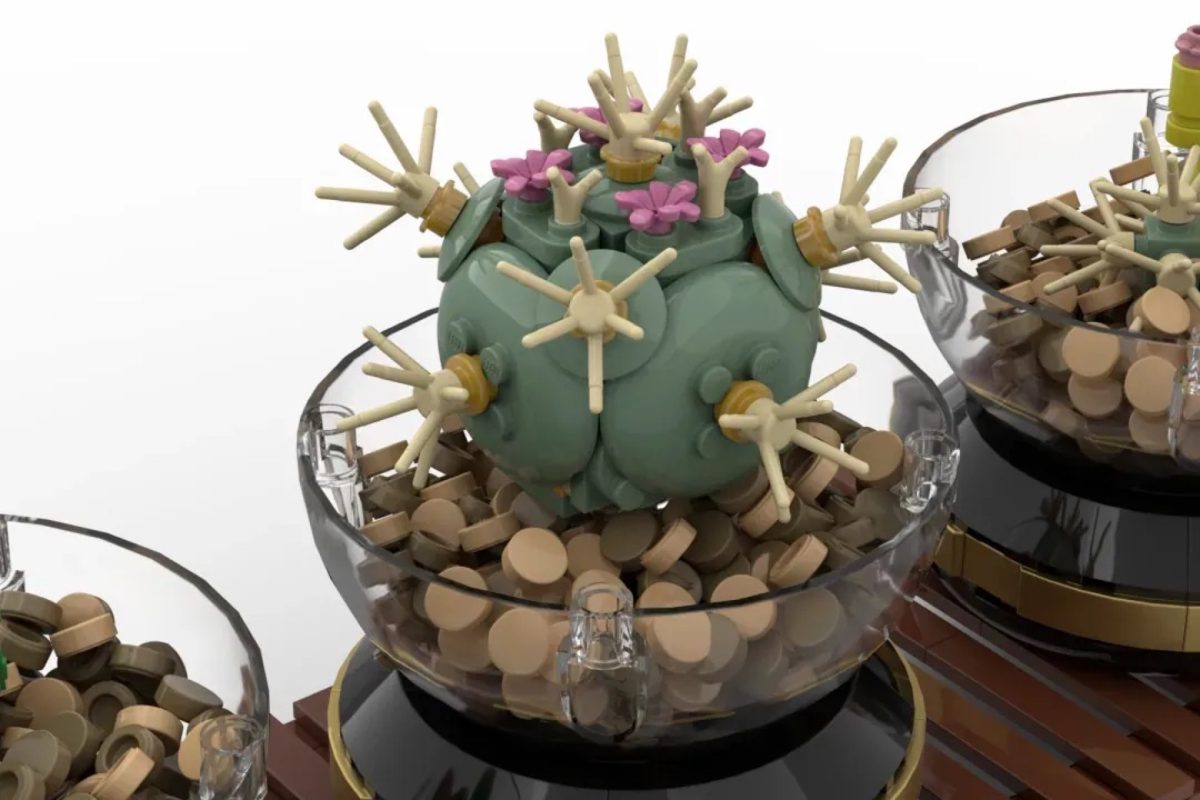 LEGO Ideas Cactus Terrariums 4 1200x800