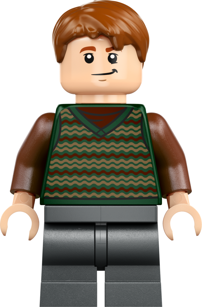 LEGO Harry Potter 76437 The Burrow Collectors Edition 19 675x1024