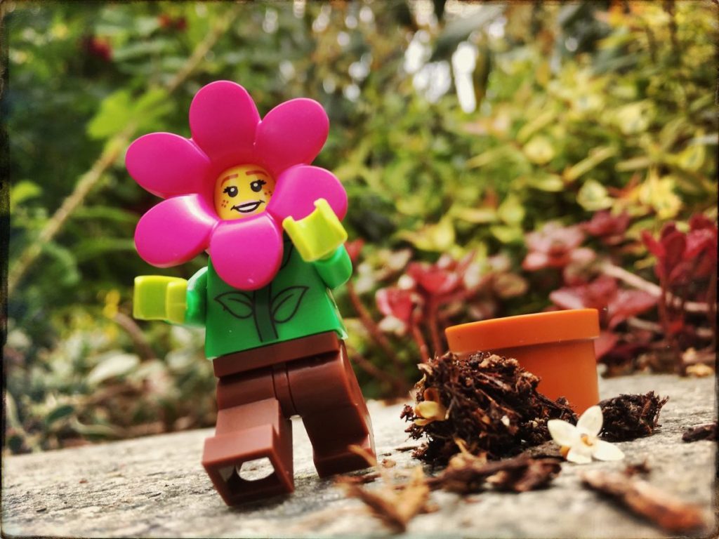 Brick Pic of the Day: Finding freedom