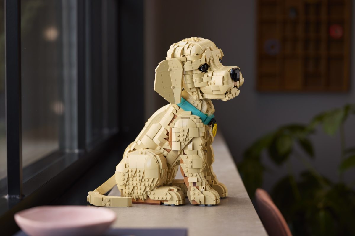 LEGO Icons 11384 Golden Retriever Puppy 29 1200x800